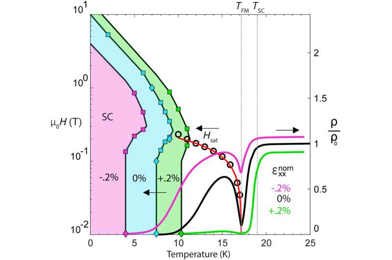 Exploring Field-Induced Superconductivity in Quantum Materials