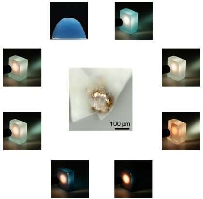 Gold Nanoparticles in Tellurite Glass: Advanced Photonics Research