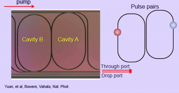 Novel Optical Device Enabled by Coupled Microresonators