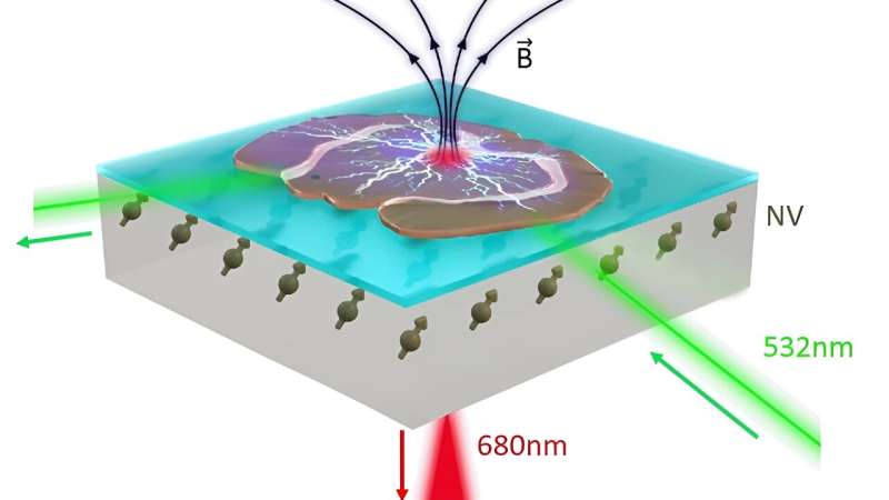 Diamond Quantum Sensors Detect Neuron Activity with Unprecedented Sensitivity