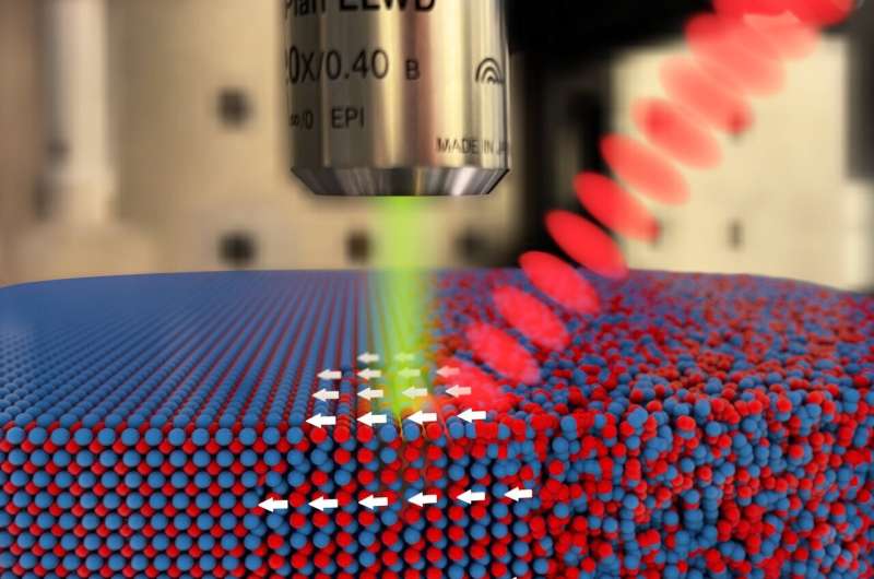 Laser-Induced Magnetization in Iron-Vanadium Alloys: A Novel Phenomenon