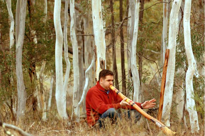 The Physics of the Didgeridoo: Understanding its Unique Sound