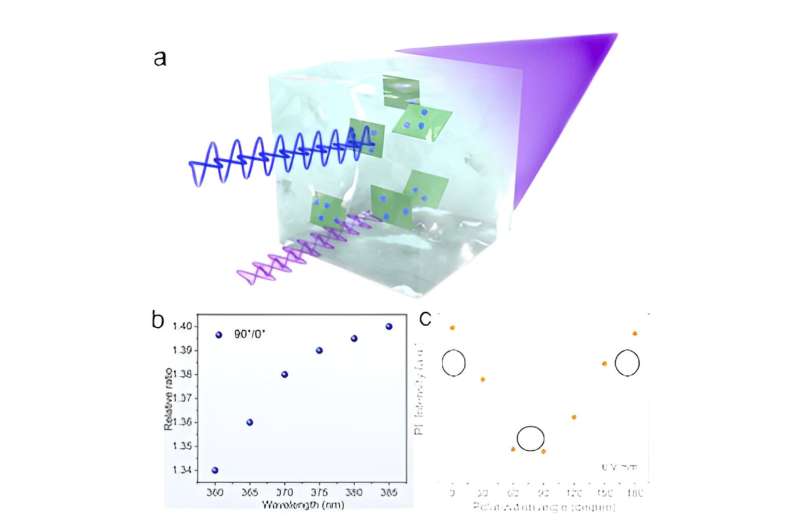 Novel Polarized Luminescent Materials: 2D Materials & Quantum Dots