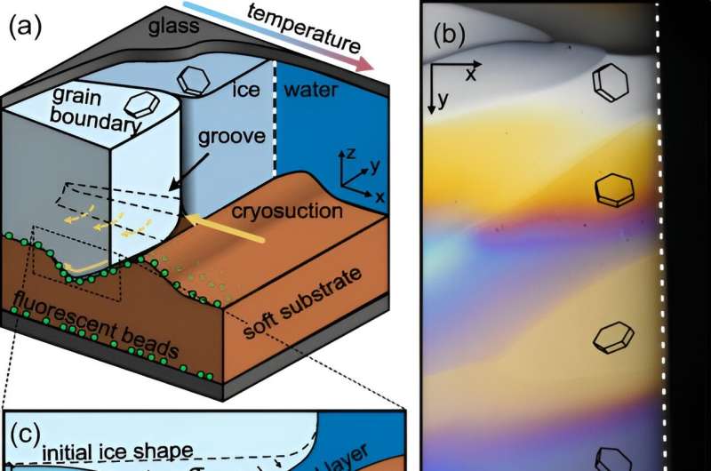 Water Channels in Ice Cracking: Insights from Multi-Crystal Experiments