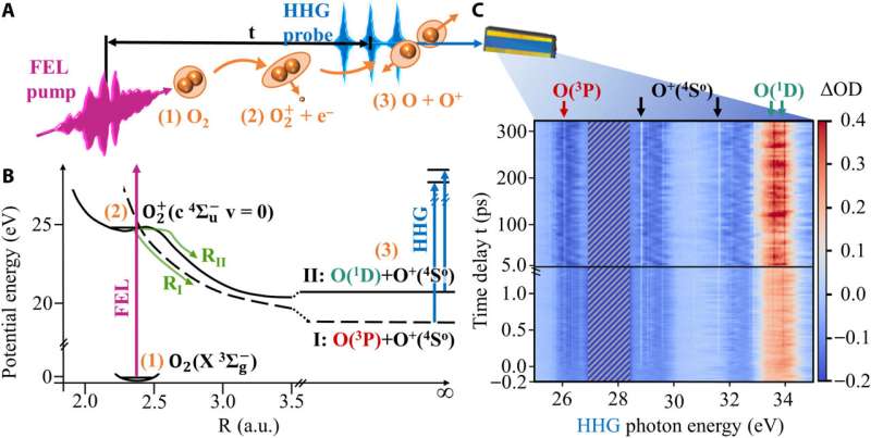 Advanced Ultrafast Spectroscopy Reveals Quantum Dissociation of Oxygen Molecules