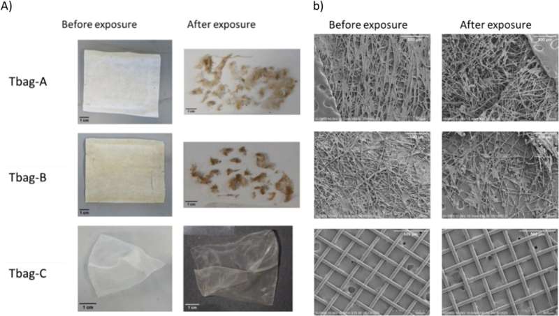 Biodegradability Concerns: Study Reveals Limited Degradation of Some Eco-Friendly Tea Bags