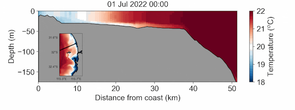 Deep-Sea Kelp: A Surprising Carbon Sink and Climate Solution
