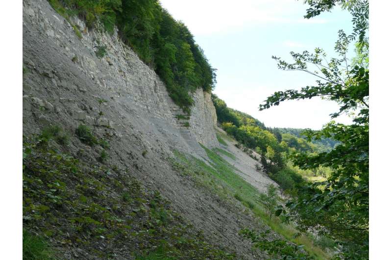 Landslide Prevention: The Role of Reforestation & Limitations