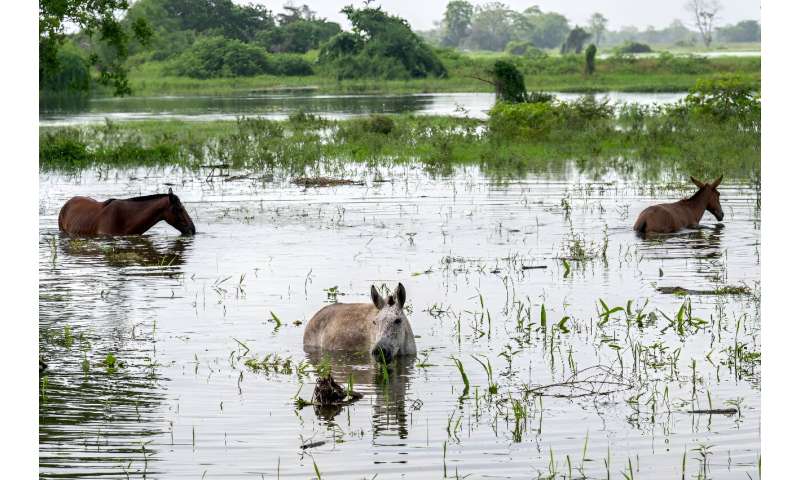 Colombia Flooding Crisis: Communities Struggle with Recurring Inundations