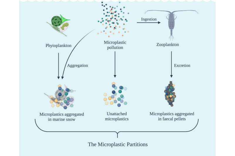 Achieving a Plastic-Free Ocean by 2100: Research Highlights Key Targets