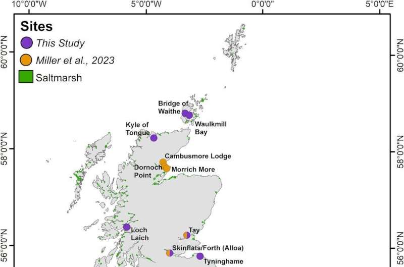 Saltmarshes & Carbon Sequestration: Reassessing Climate Impact