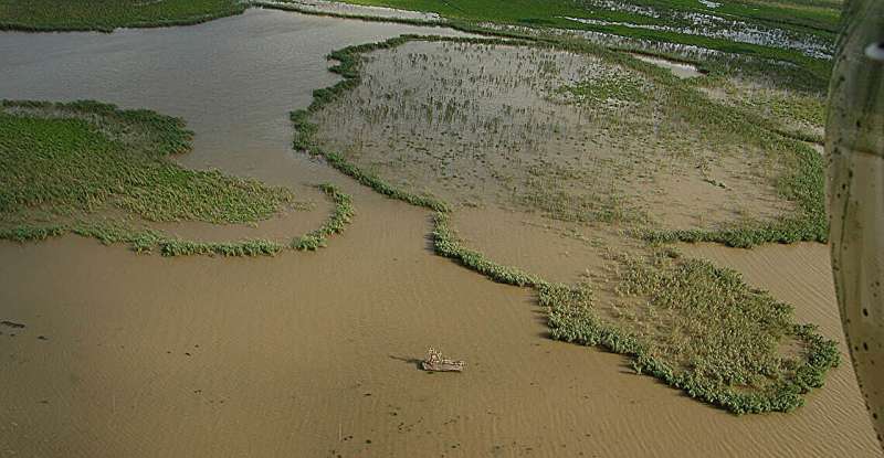 Louisiana Marsh Ecosystem Collapse: Sea-Level Rise and Weather Impacts