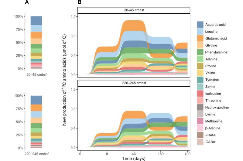 Ocean Floor Organic Matter Degradation: New Microbial Insights