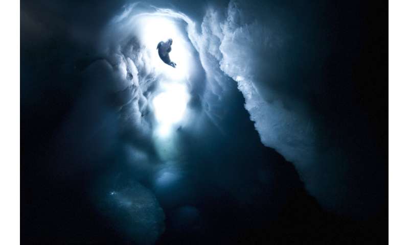 Antarctica s Climate-Smart Marine Planning: A Model for Global Ocean Management