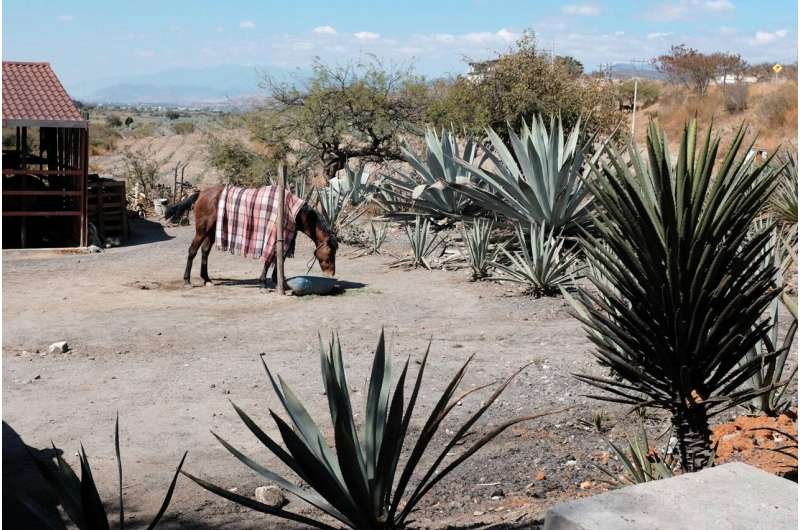 Climate Change & Migration: A Unified Approach to International Development