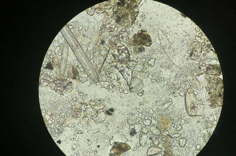 Subduction Zone Splay Faults Increase Earthquake & Tsunami Hazards | USGS
