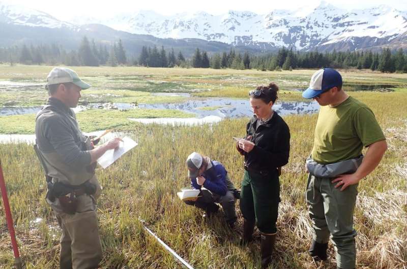 Subduction Zone Splay Faults Increase Earthquake & Tsunami Hazards | USGS