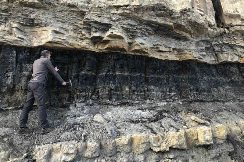 Rare Earth Elements in Coal Deposits: A Potential Source?