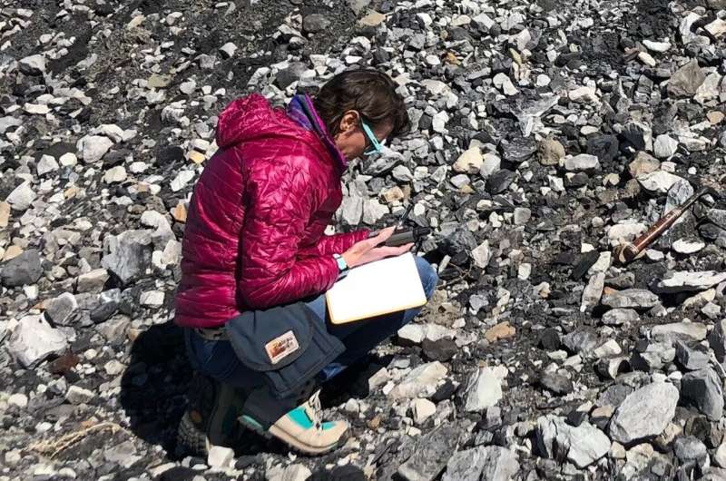 Rare Earth Elements in Coal Deposits: A Potential Source?