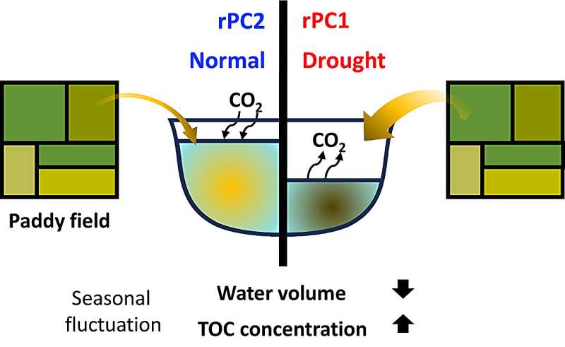 South Korea Drought 2022: Reservoirs as a Carbon Source - Research Findings