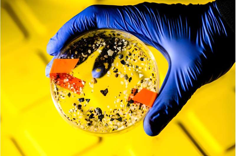 Microplastics Impede Ocean s Carbon Sequestration – A Climate Crisis Threat