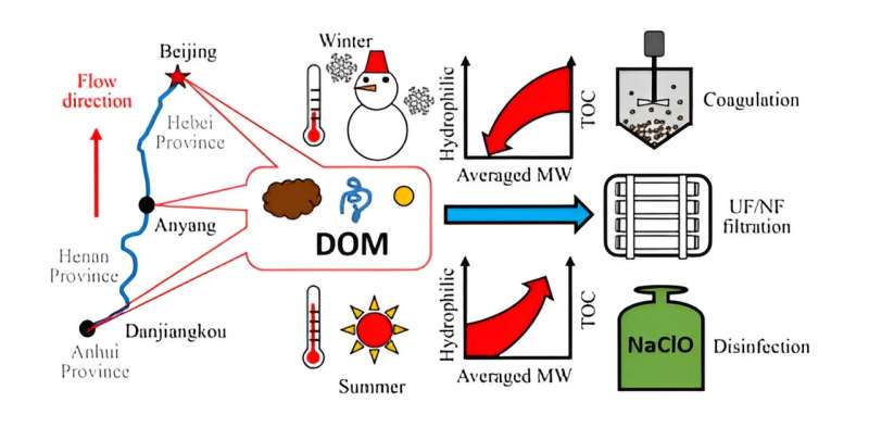 China s Water Transfer Impacts Drinking Water Quality: A Scientific Analysis