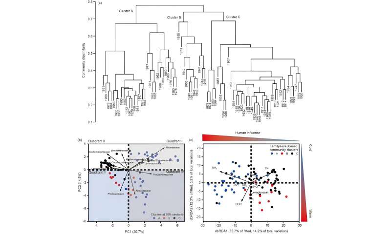 Human Impact on Ice Core Bacteria: A Study of the Muztag Ata Glacier