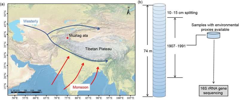 Human Impact on Ice Core Bacteria: A Study of the Muztag Ata Glacier
