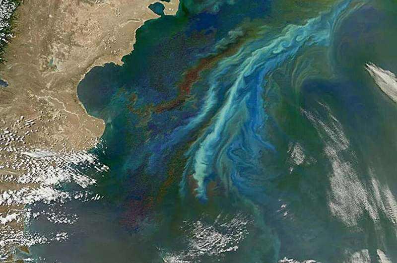 Southern Ocean Phytoplankton Blooms: A Key Climate Indicator Revealed by Robotic Floats