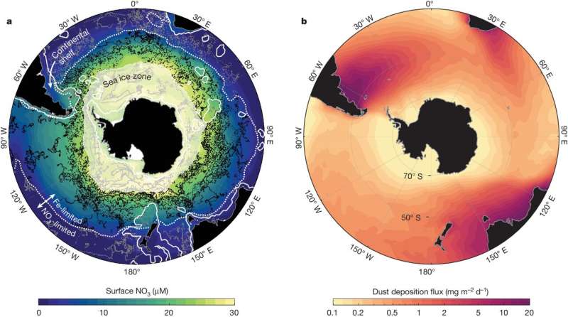 Southern Ocean Phytoplankton Blooms: A Key Climate Indicator Revealed by Robotic Floats