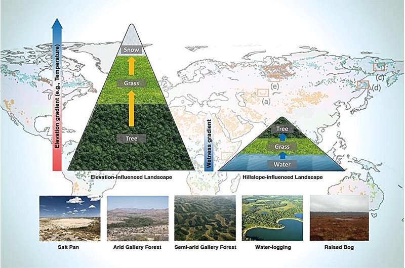 Vegetation Mapping in Hilly Terrain: Advancements in Land Surface Modeling