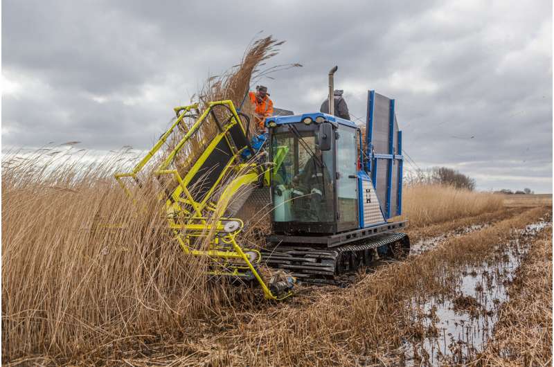 Carbon Dioxide Removal in Germany: Feasibility of Biomass & CCS