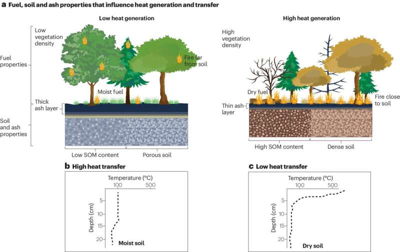 Wildfire Impact on Soil Chemistry: Effects & Consequences