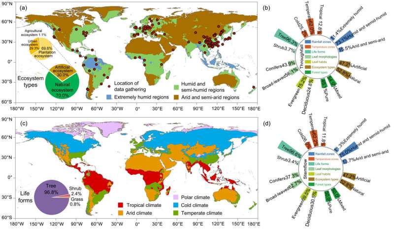 Canopy Rainfall Redistribution Impacts Nutrient Cycling: A Research Overview
