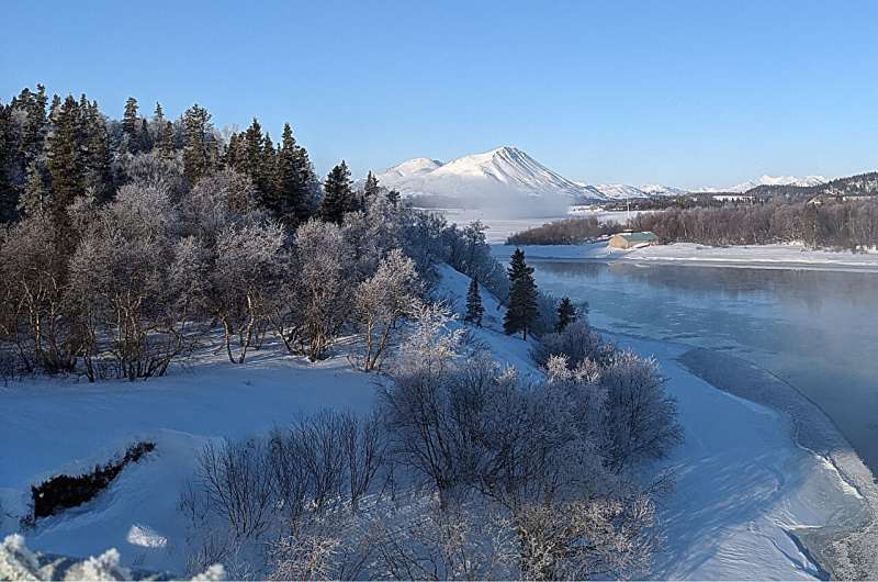 Arctic Communities Remain Stable Despite Climate Change: A 30-Year Study