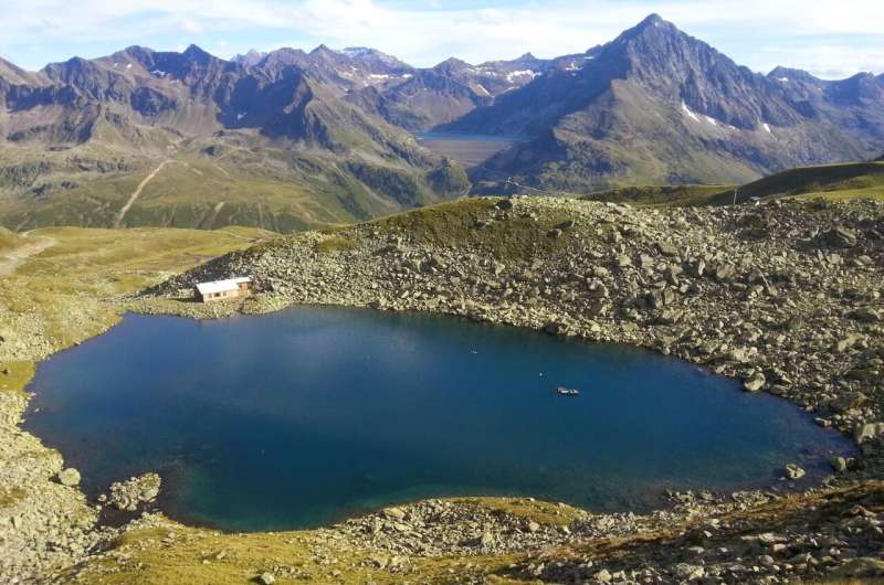 Impact of Rising Treelines on Alpine Lake Ecosystems