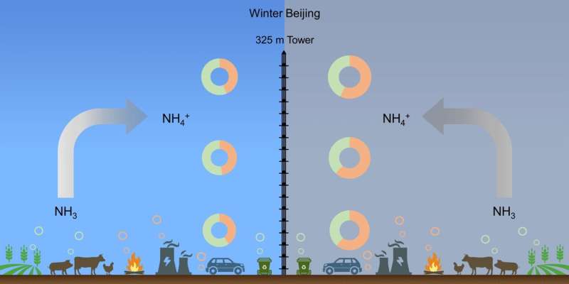 Understanding Ammonia s Role in Beijing Haze: Atmospheric Studies Reveal Key Sources
