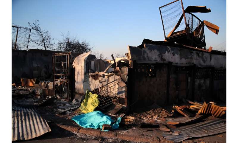 Chile Wildfires: Death Toll Rises to 51 Amid Extreme Heat