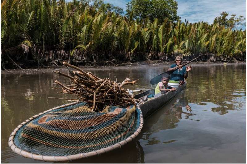 Oil Palm Plantations: Impact on Water Quality and Indigenous Communities