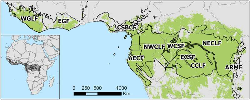 Wildfire Risk in African Forests Doubles in Recent Decades - Analysis