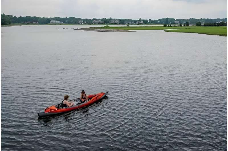 PFAS Chemicals: Latest Research & Environmental Impact