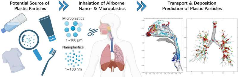 Inhaled Plastic Pollution: A Modeling Study of Respiratory Impacts
