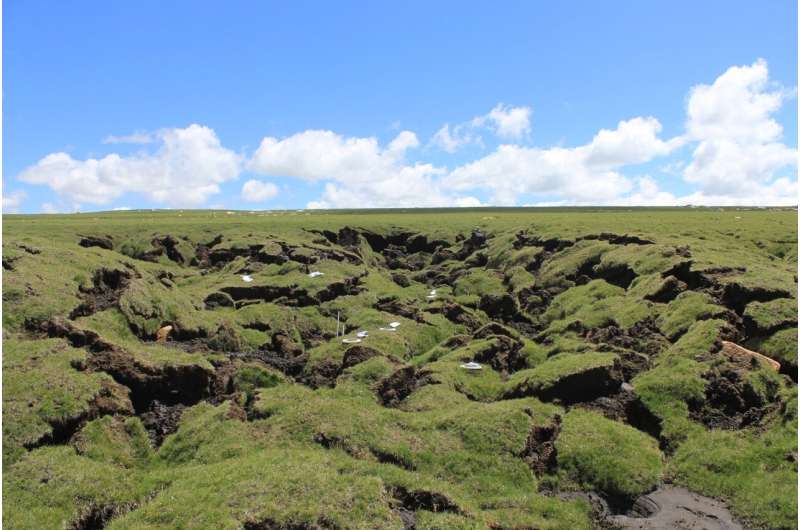 Permafrost Thaw Accelerates Soil CO2 Emissions: A New Climate Risk