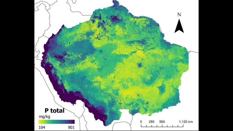 AI-Powered Mapping Reveals Low Phosphorus Levels in Amazonian Soil