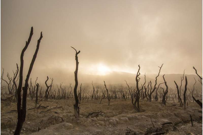 Climate Science Links Oil Companies to Disasters – New Legal Efforts