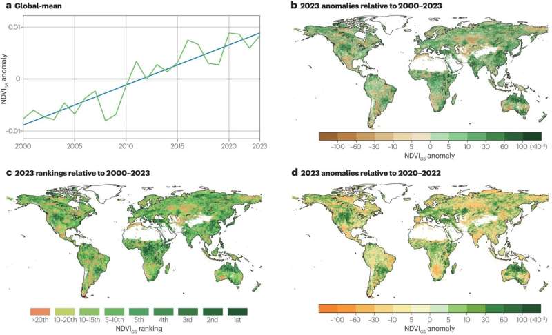 2023 Global Greenness: Climate Impacts on Vegetation Growth