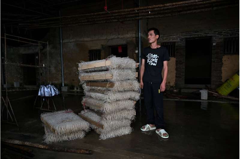 Southern China Floods Devastate Silkworm Farms, Threatening Production