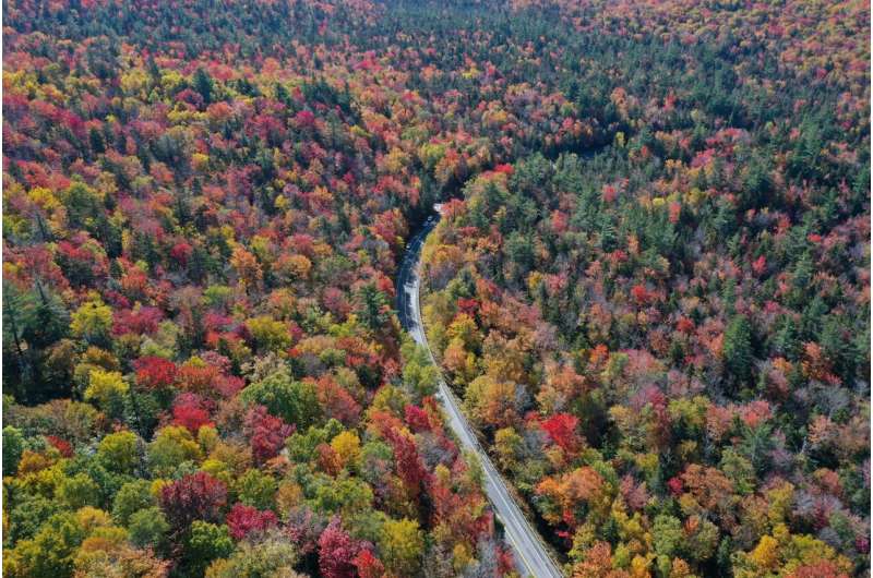 Hurricane Impacts on New England Forests: Carbon Storage Risks