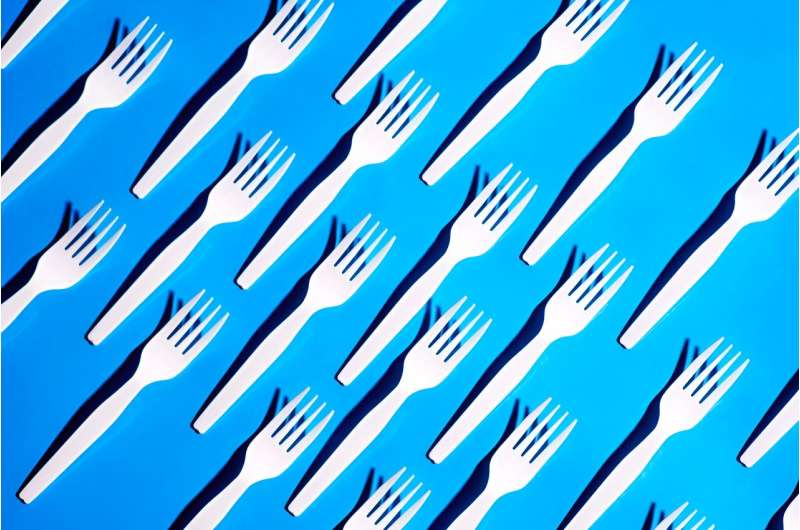 US Single-Use Plastic Ban: Following Global Trends in Environmental Policy?