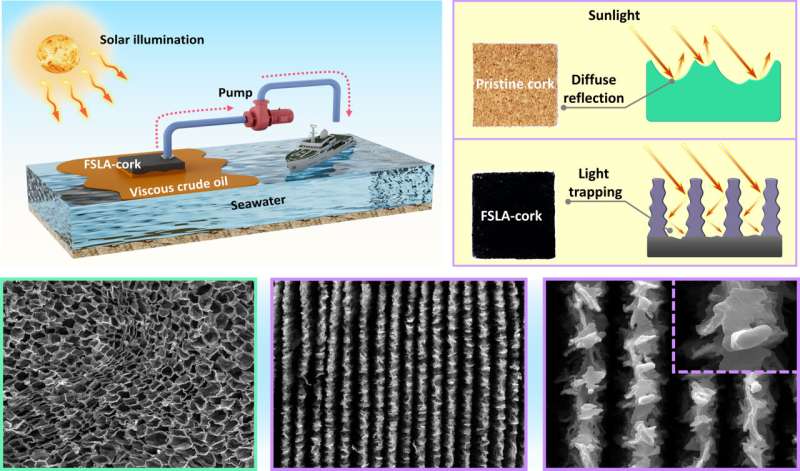 Laser-Enhanced Cork: A Sustainable Solution for Oil Spill Cleanup